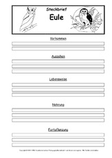 Steckbriefvorlage-Eule-2.pdf